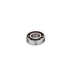 Pyoranosat ROSE | Rose Cartridge Bearing 61900